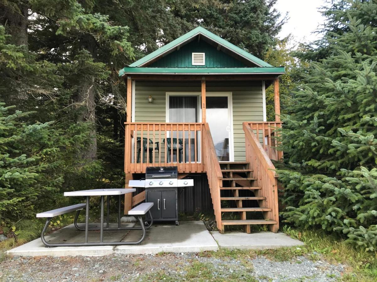 Cabin 3 Lynn View Lodge Haines Exterior foto