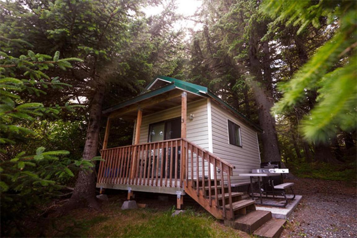 Cabin 3 Lynn View Lodge Haines Exterior foto